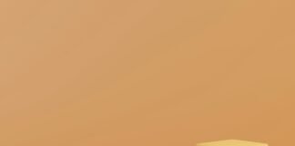 Payments, Penalties and TradFi Adoption Define This Week in Web3 Web3 fund