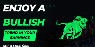 Top 5 Ways to Earn Passive Income Through Cryptocurrency in 2024 Cryptocurrency