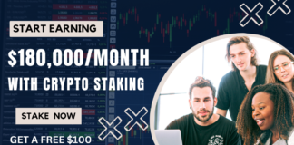 Top 4 Staking Platforms in 2024: Earn up to $180,000/Month Staking