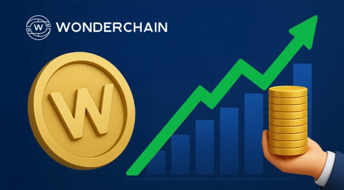 WonderChain: A High-Potential Project Drawing the Attention of Top-Tier VCs WonderChain