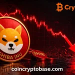 Shiba Inu (SHIB) Price Explores New Lows: A Comprehensive Analysis and Future Outlook Shiba Inu