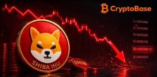 Shiba Inu (SHIB) Price Explores New Lows: A Comprehensive Analysis and Future Outlook Shiba Inu