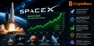 Does SpaceX Stock Have a Future? A Deep Dive into Investing in Elon Musk’s Aerospace Giant SpaceX Stock