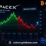 SpaceX Stock Volatility: How Low Will It Go Before Stabilizing? SpaceX Stock Volatility