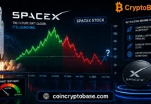 SpaceX Stock Volatility: How Low Will It Go Before Stabilizing? SpaceX Stock Volatility