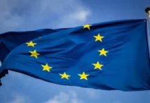 ECB launches Pontes system to bring central bank money to blockchain ECB launches Pontes system to bring central bank money to blockchain
